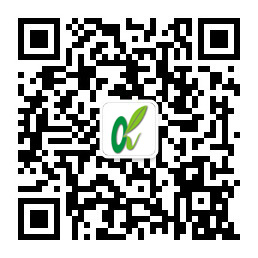 首页| 888集团电子游戏官方网站