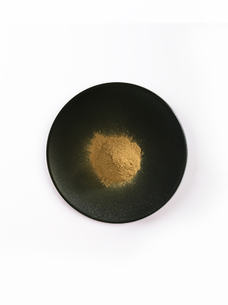 首页| 888集团电子游戏官方网站